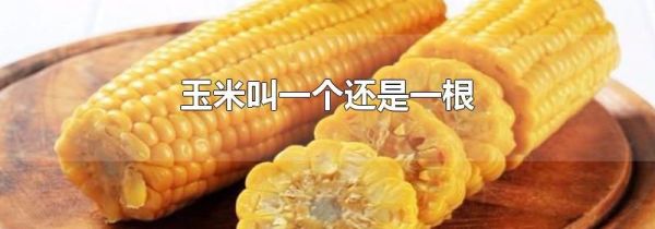玉米叫一个还是一根