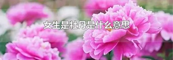 女生是牡丹是什么意思