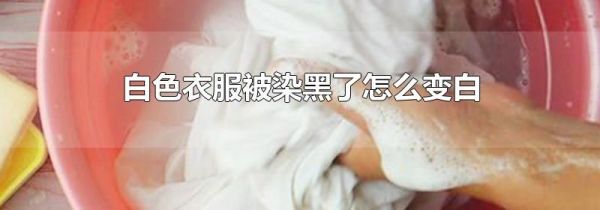 白色衣服被染黑了怎么变白