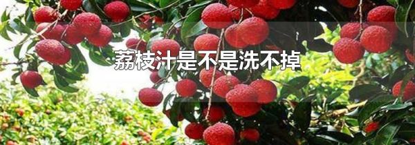 荔枝汁是不是洗不掉