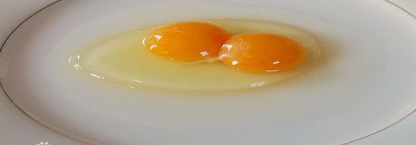 打出来的鸡蛋怎么看坏没坏