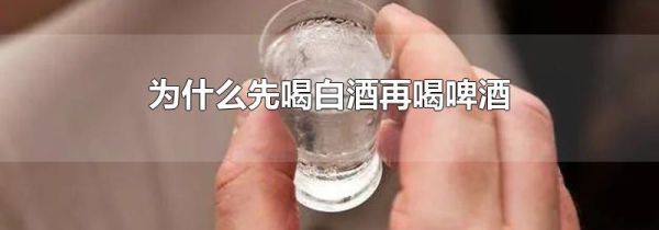 为什么先喝白酒再喝啤酒