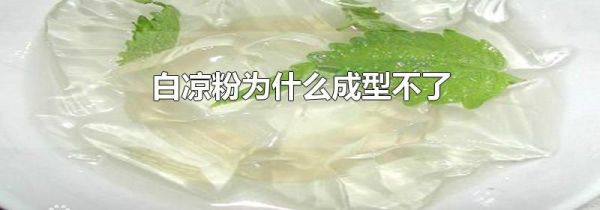 白凉粉为什么成型不了