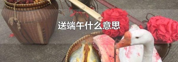 送端午什么意思