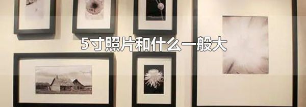 5寸照片和什么一般大