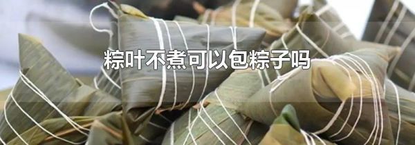 粽叶不煮可以包粽子吗