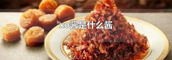 xo酱是什么酱