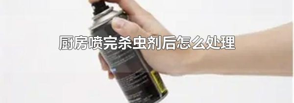 厨房喷完杀虫剂后怎么处理