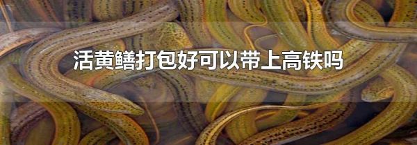 活黄鳝打包好可以带上高铁吗