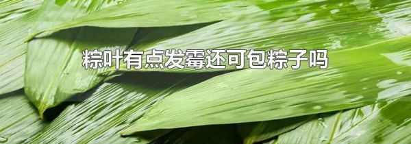 粽叶有点发霉还可包粽子吗