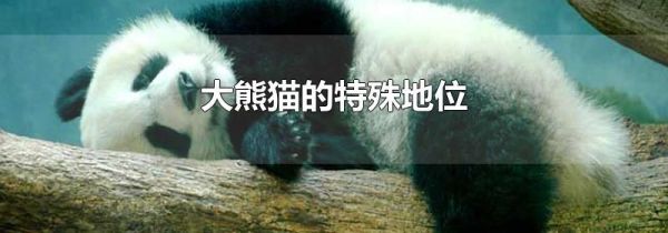 大熊猫的特殊地位