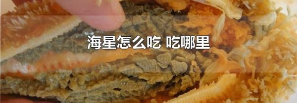 海星怎么吃 吃哪里