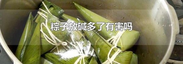 粽子放碱多了有害吗
