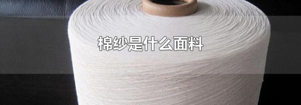 棉纱是什么面料
