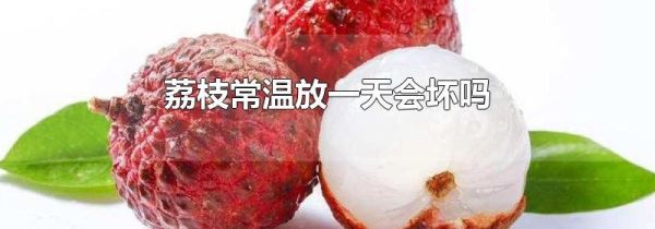 荔枝常温放一天会坏吗