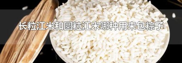 长粒江米和圆粒江米哪种用来包粽子