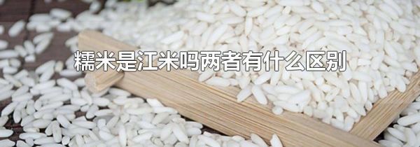 糯米是江米吗两者有什么区别