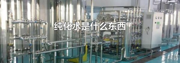 纯化水是什么东西