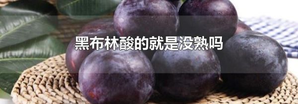 黑布林酸的就是没熟吗