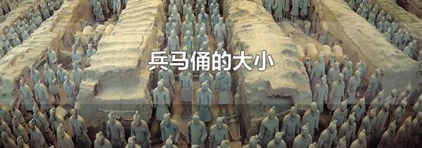 兵马俑的大小