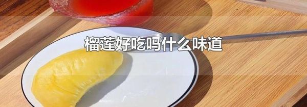 榴莲好吃吗什么味道