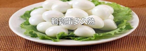 鹌鹑蛋多久熟