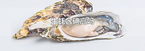 生蚝含碘高吗