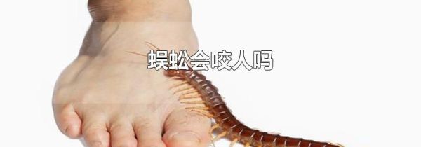 蜈蚣会咬人吗