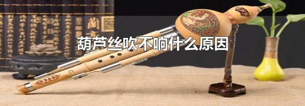 葫芦丝吹不响什么原因