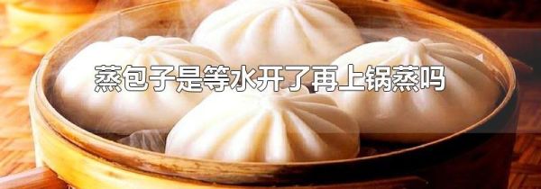 蒸包子是等水开了再上锅蒸吗
