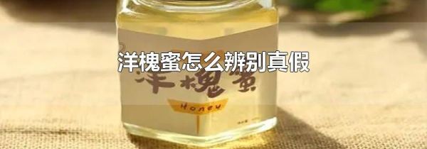 洋槐蜜怎么辨别真假