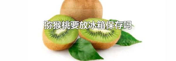 猕猴桃要放冰箱保存吗