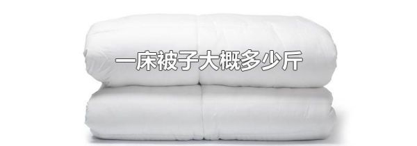 一床被子大概多少斤