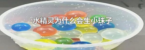 水精灵为什么会生小珠子