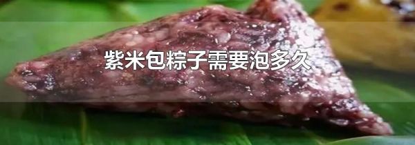 紫米包粽子需要泡多久
