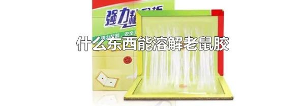 什么东西能溶解老鼠胶