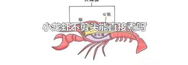 小龙虾不剪头能直接煮吗