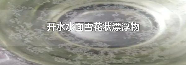 开水水面雪花状漂浮物
