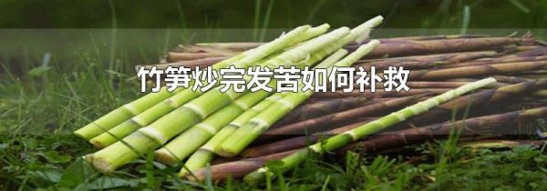 竹笋炒完发苦如何补救