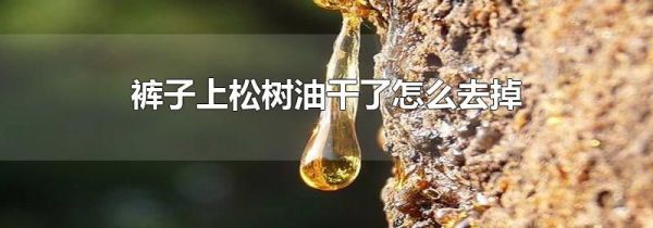 裤子上松树油干了怎么去掉