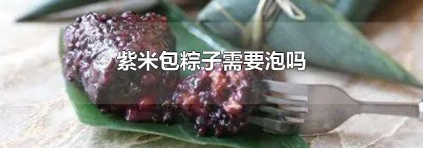 紫米包粽子需要泡吗