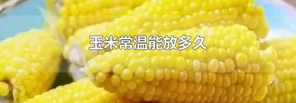 玉米常温能放多久