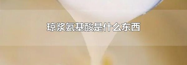 琼浆氨基酸是什么东西