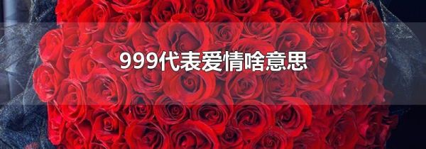 999代表爱情啥意思