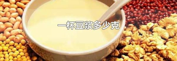 一杯豆浆多少克