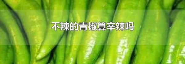 不辣的青椒算辛辣吗