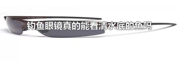 钓鱼眼镜真的能看清水底的鱼吗