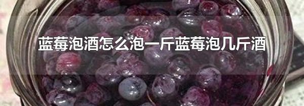 蓝莓泡酒怎么泡一斤蓝莓泡几斤酒