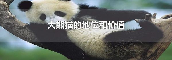 大熊猫的地位和价值