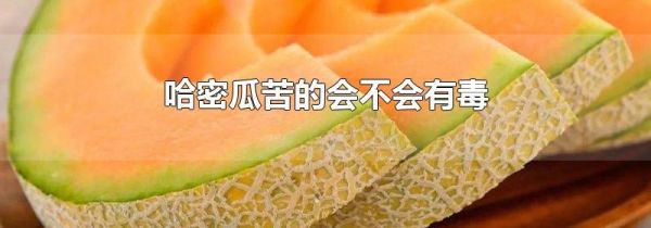 哈密瓜苦的会不会有毒